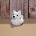 American Eskimo Duck