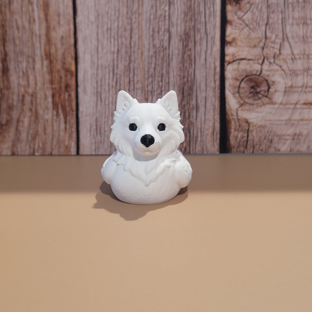 American Eskimo Duck