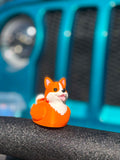 Corgi Duck